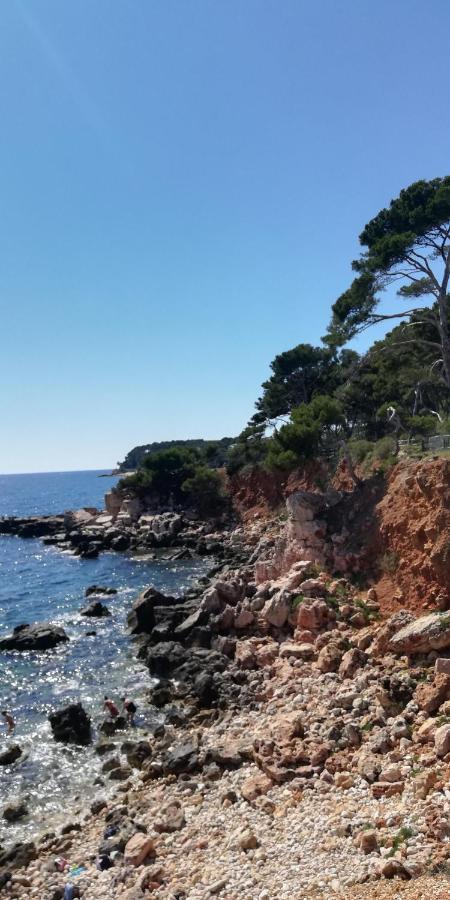 L'Escale D'Aubagne Votre Refuge Chaleureux Pour Un Sejour Relaxant Villa Eksteriør bilde